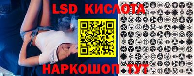 сатива Новокубанск