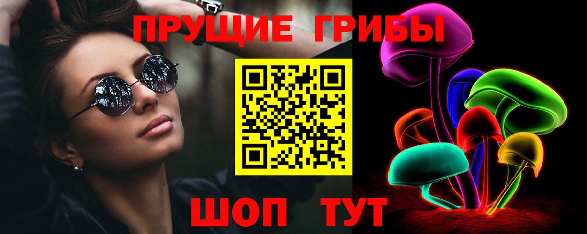 Псилоцибиновые грибы Psilocybe Советск